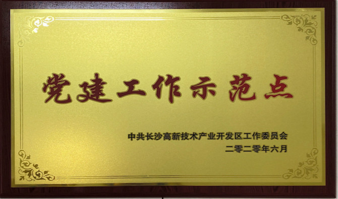 長沙高新區(qū)黨工委授予中共九芝堂股份有限公司委員會“黨建工作示范點(diǎn)”“優(yōu)秀黨務(wù)工作者”榮譽(yù)稱號