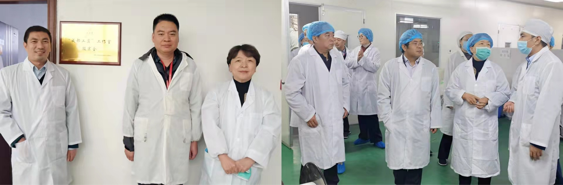 九芝堂集團副總裁劉春鳳一行蒞臨金鼎藥業調研指導工作