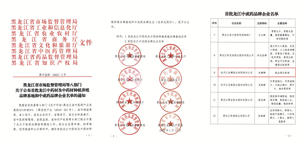 友搏藥業喜獲“首批龍江中成藥品牌企業”榮譽稱號