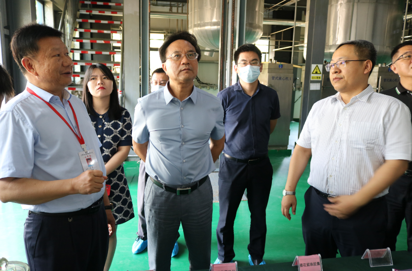 海口市政協(xié)副主席韓斌一行蒞臨公司調(diào)研走訪
